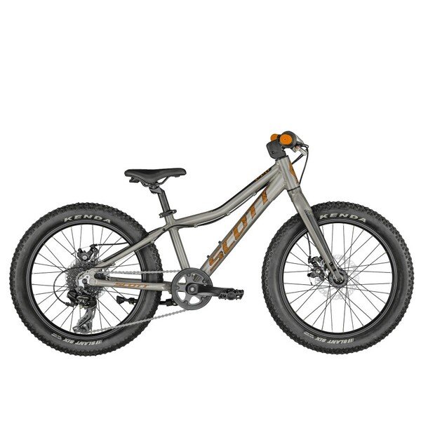 Dviratis 20 SCOTT ROXTER 20 SILVER 20 Scott