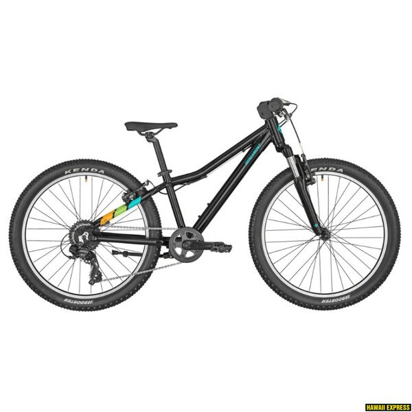 Dviratis 24 BERGAMONT REVOX 24 BLACK 24 black bergamont