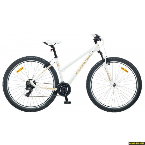 Dviratis 29 CLASSIC TEAM LADY 29 21sp white classic