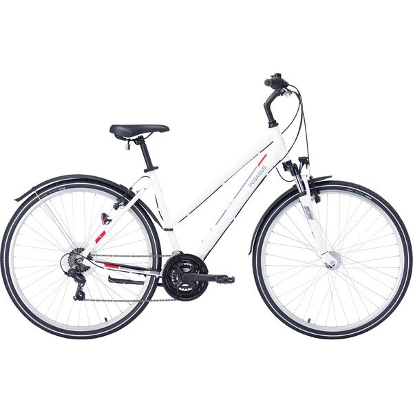 Dviratis 28  Pegasus Avanti Sport 18 trapez 18g baltas
