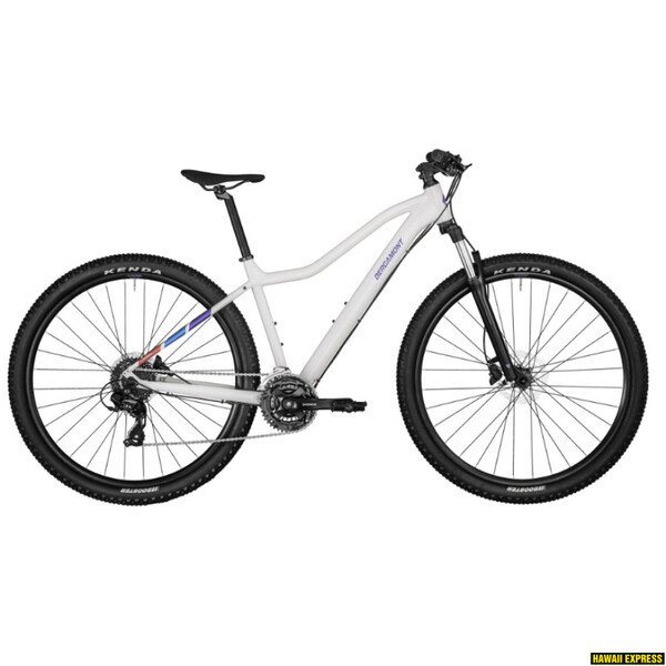 Dviratis 29 BERGAMONT REVOX 3 FMN white bergamont
