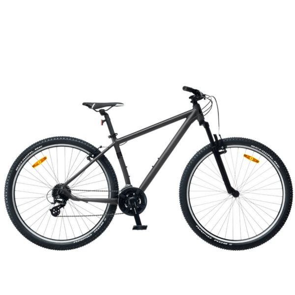 Dviratis 29  CLASSIC TEAM 29+24s 29  classic
